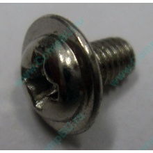 Компьютерный винт "малый" PW-M3x6mm (Одинцово)