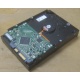 Жесткий диск HP 250Gb 7200 rpm 432337-001/ 399699-001 / 397377-004 (Одинцово)