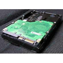 Жесткий диск 600Gb 15k Dell 9FN066-008 6G SAS ( Seagate Cheetach ST3600057SS 15K.7) - Одинцово