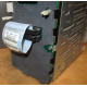 HP 365664-001 кабель SCSI для корзины 373108-001 / 359719-001 HP ML370G4 (Одинцово)