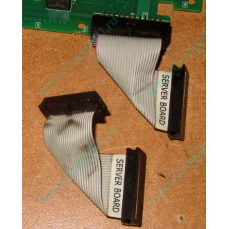 6017B0045701 Шлейф 24 pin для Intel C74974-401 T0043401-B01 корпуса SR2400 (Одинцово)