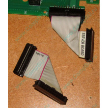 6017B0045701 Шлейф 24 pin для Intel C74974-401 T0043401-B01 корпуса SR2400 (Одинцово)