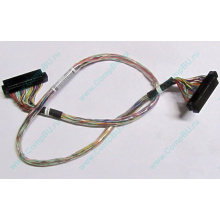 6017B0045301 в Одинцово, 68pin SCSI кабель 26.5" / 57cm для корзины HDD Intel SR2400 (Одинцово)