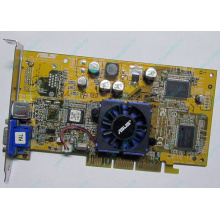 Видеокарта Asus V8170 64Mb nVidia GeForce4 MX440 AGP Asus V8170DDR (Одинцово)