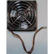 Вентилятор EFB0812HHE IBM 59P23B1 FRU 59P2572 (Одинцово)
