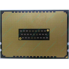 AMD Opteron 6128 OS6128WKT8EGO (Одинцово)