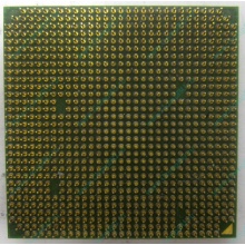 Процессор AMD Sempron 3000+ (1.6GHz) SDA3000IAA3CN s.AM2 (Одинцово)
